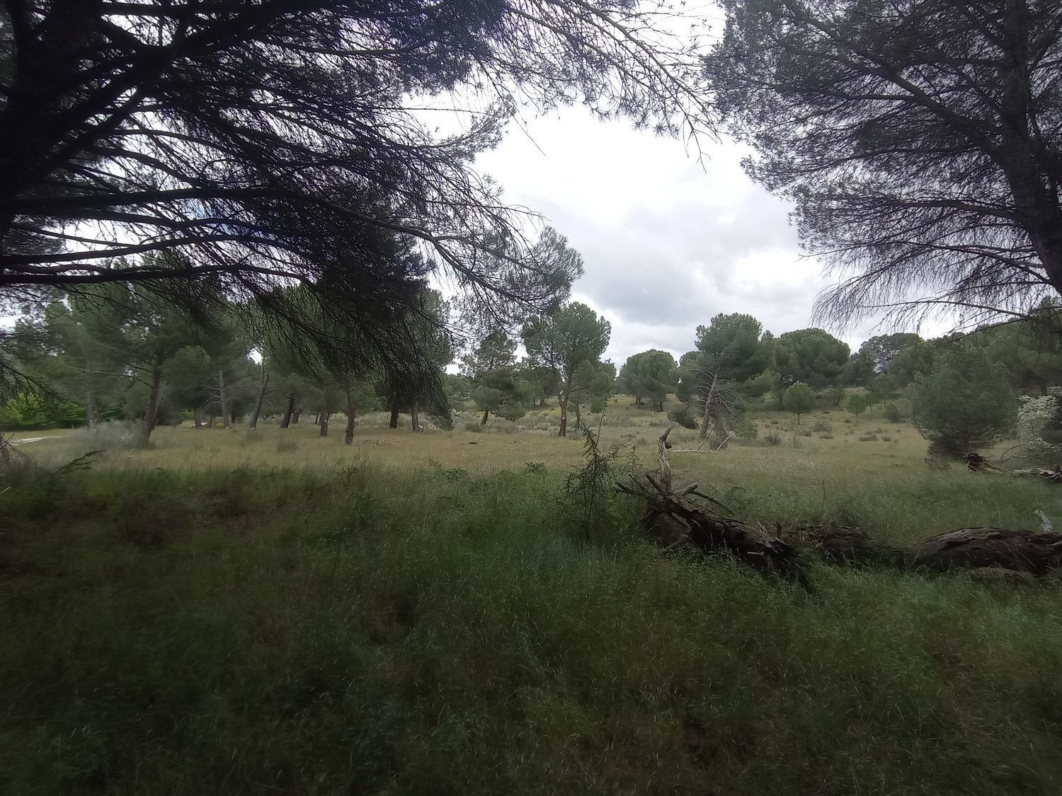 de Martacha Poligono, 502, Matapozuelos, Valladolid à vendre Photo du bâtiment- Image 1 de 24