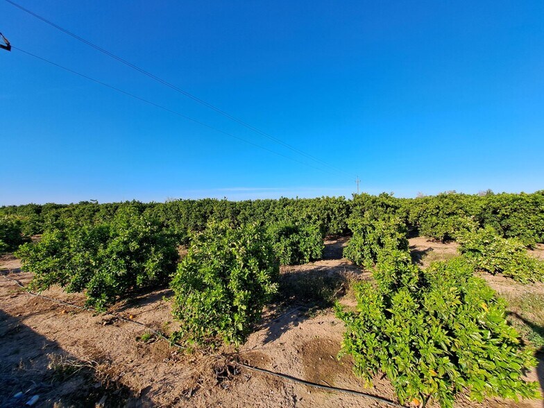 Land in Alzira, Valencia for sale - Primary Photo - Image 1 of 35
