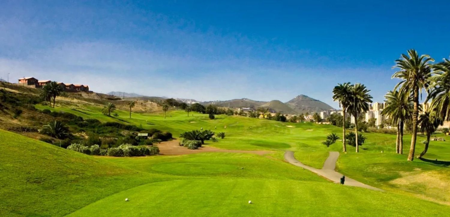 Calle Vicario Juan Artiles Sanc, S/N, Telde, Las Palmas à vendre Aérien- Image 1 de 10