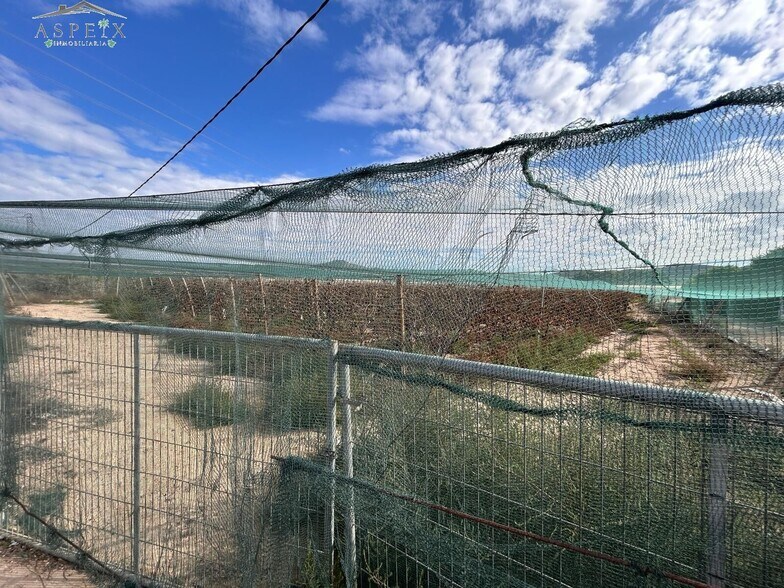 Terrain dans Monforte del Cid, Alicante à vendre - Photo de construction - Image 2 de 2