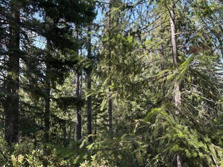 Plus de détails pour Castle Creek Rd, Mount Shasta, CA - Terrain à vendre