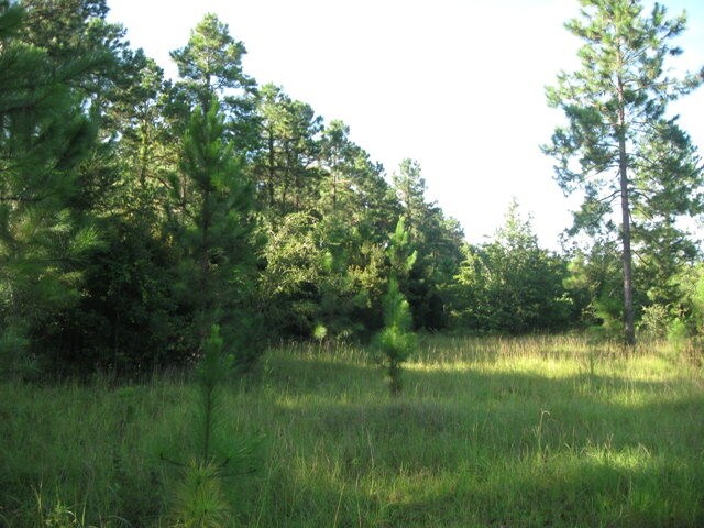 0 26th Ave, Moultrie, GA à vendre - Autre - Image 2 de 4