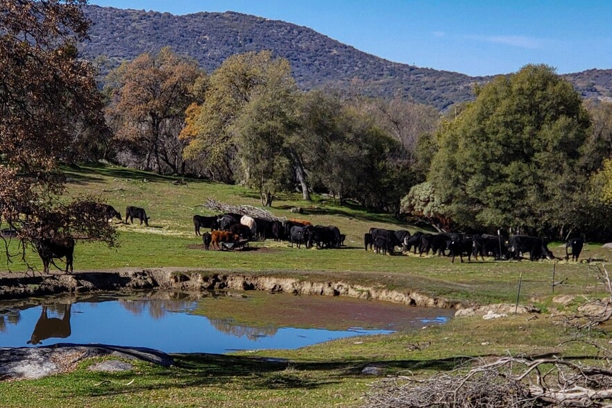 Dry Creek Drive, Badger, CA à vendre - Photo du bâtiment - Image 3 de 23