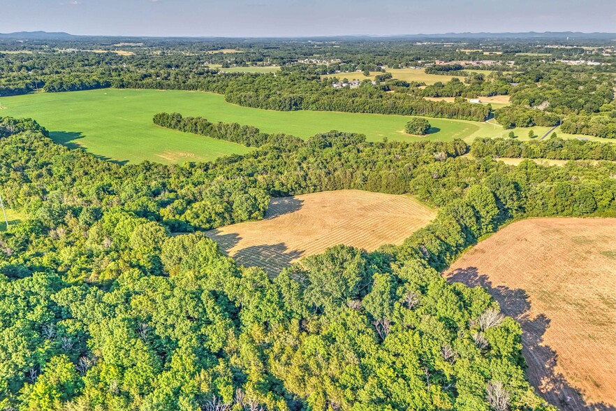 500 Old Pencil Mill Rd, Chapel Hill, TN à vendre - Photo du bâtiment - Image 1 de 5