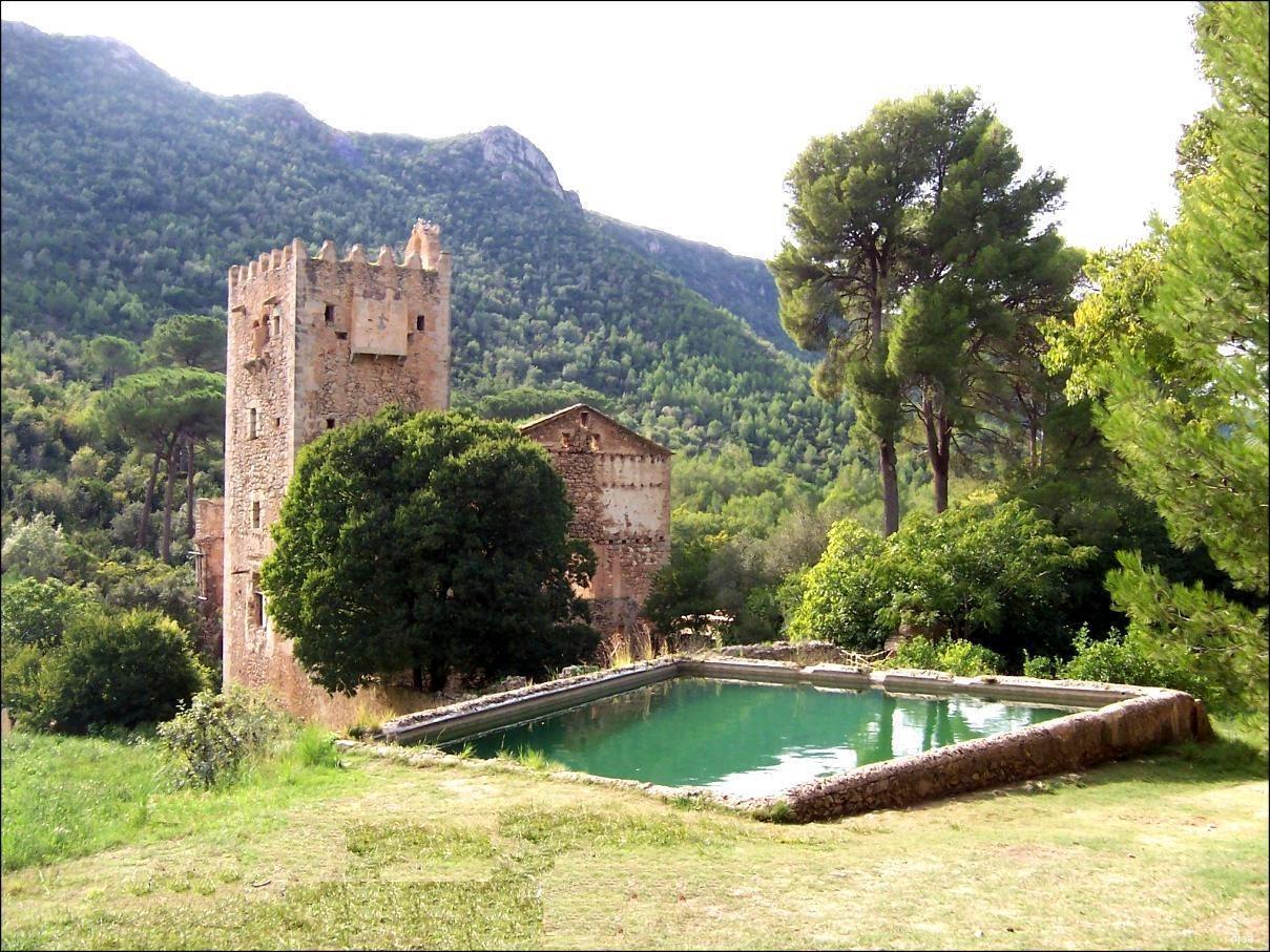 Land in Alzira, Valencia for sale Primary Photo- Image 1 of 9