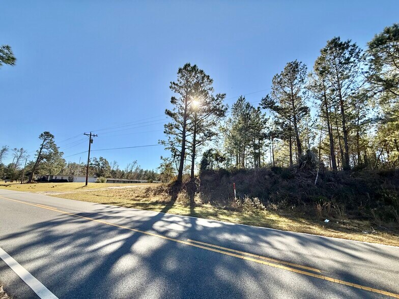 1028 Sand Pit Rd, Lumber City, GA à vendre - Photo du bâtiment - Image 3 de 5