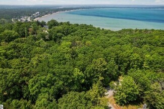 Plus de détails pour 4533 Weathering Heights Rd, Traverse City, MI - Terrain à vendre
