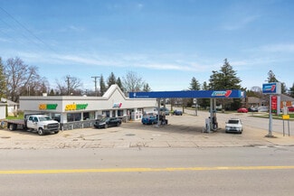 More details for 4497 Washington, Ubly, MI - Retail for Sale