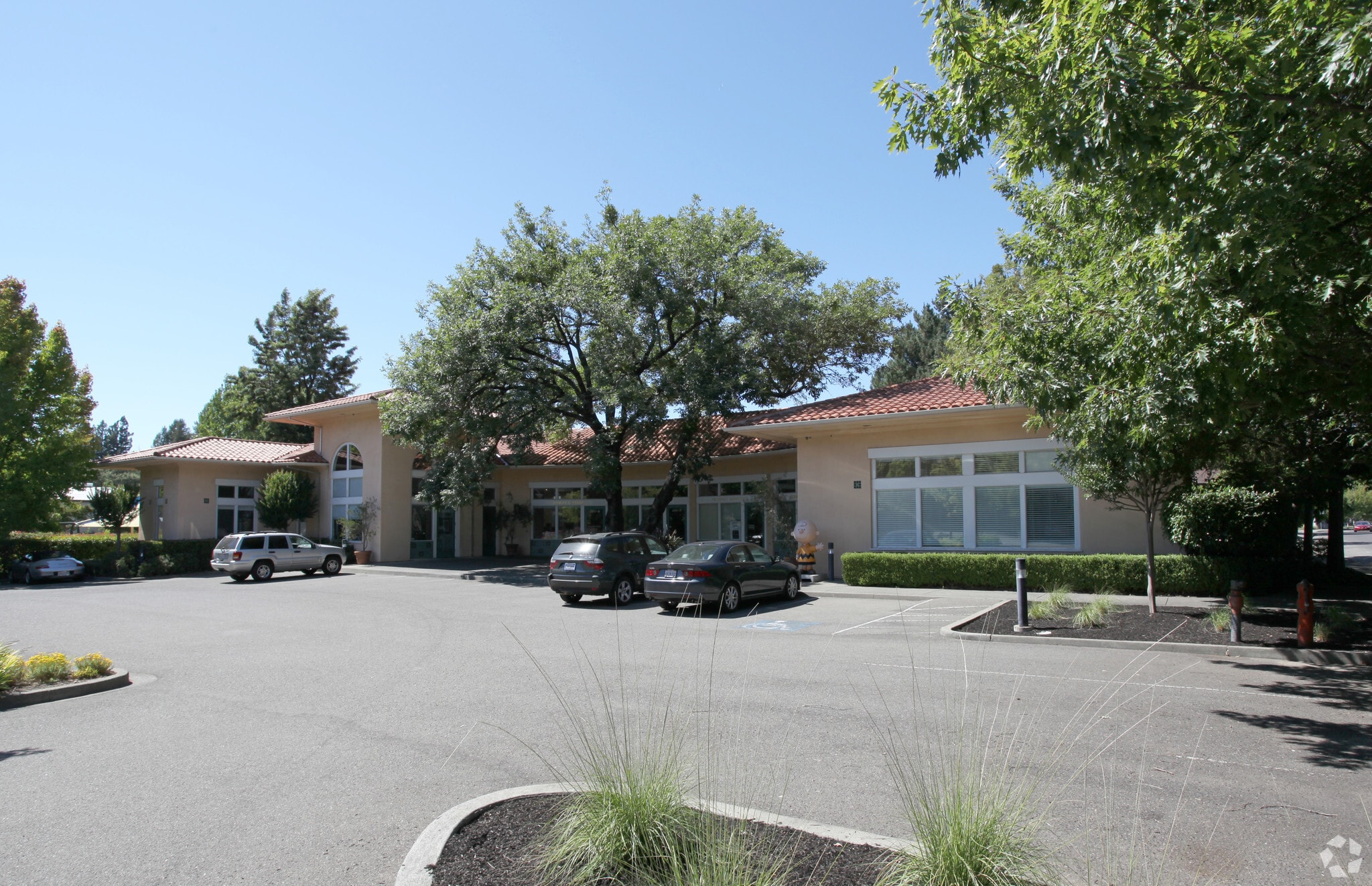 1207 Vine St, Healdsburg, CA for lease Primary Photo- Image 1 of 6