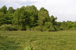 Plus de détails pour 3662 Centerville Hwy, Snellville, GA - Terrain à vendre