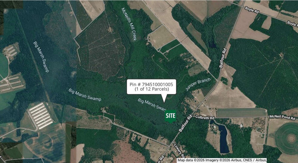 Balfour Road & McNeill Lake Rd, Lumber Bridge, NC for sale - Primary Photo - Image 1 of 6