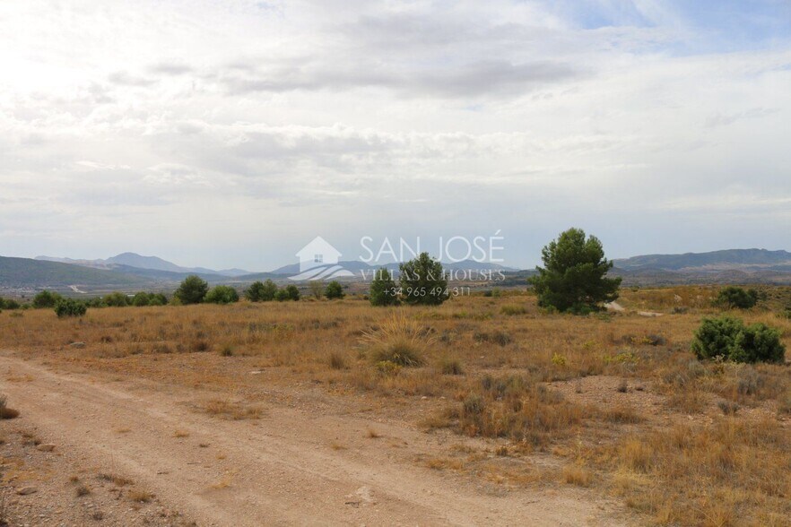 Land in Jumilla, Murcia for sale - Primary Photo - Image 1 of 18