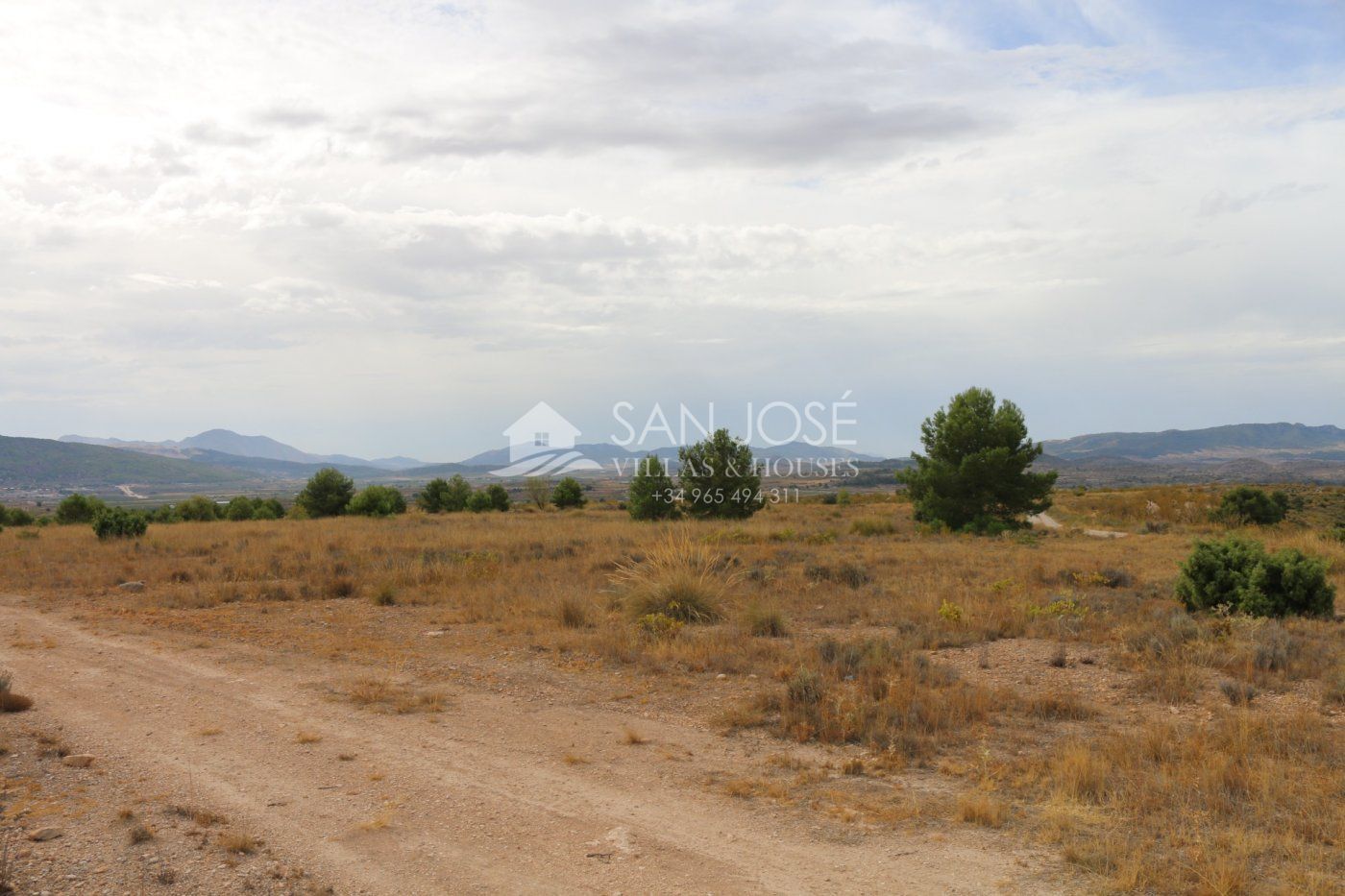 Terrain dans Jumilla, Murcia à vendre Photo principale- Image 1 de 19