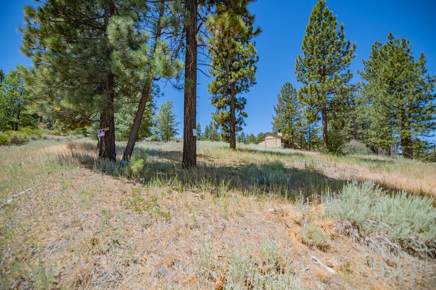 40111 Big Bear Blvd, Big Bear Lake, CA à louer - Photo du bâtiment - Image 2 de 46