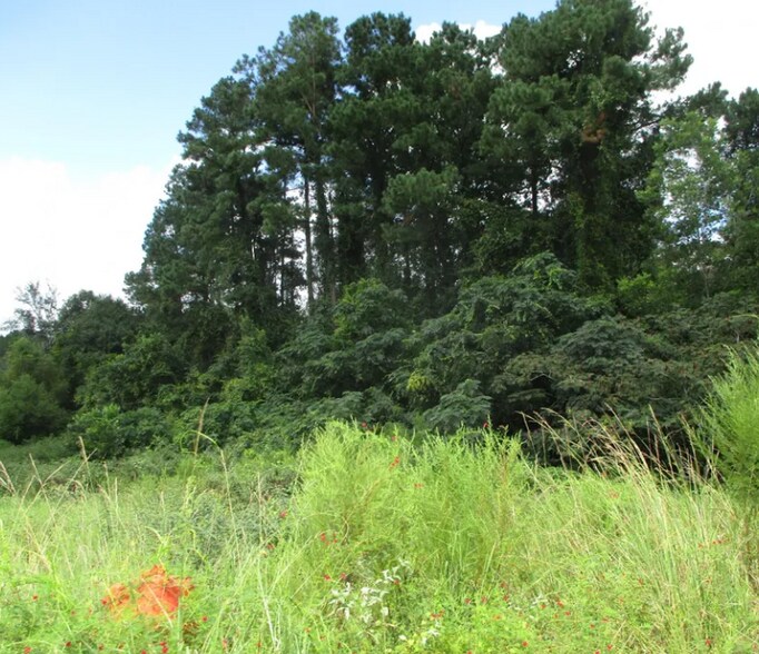 503 N Mill St, Nicholls, GA à vendre - Aérien - Image 3 de 4