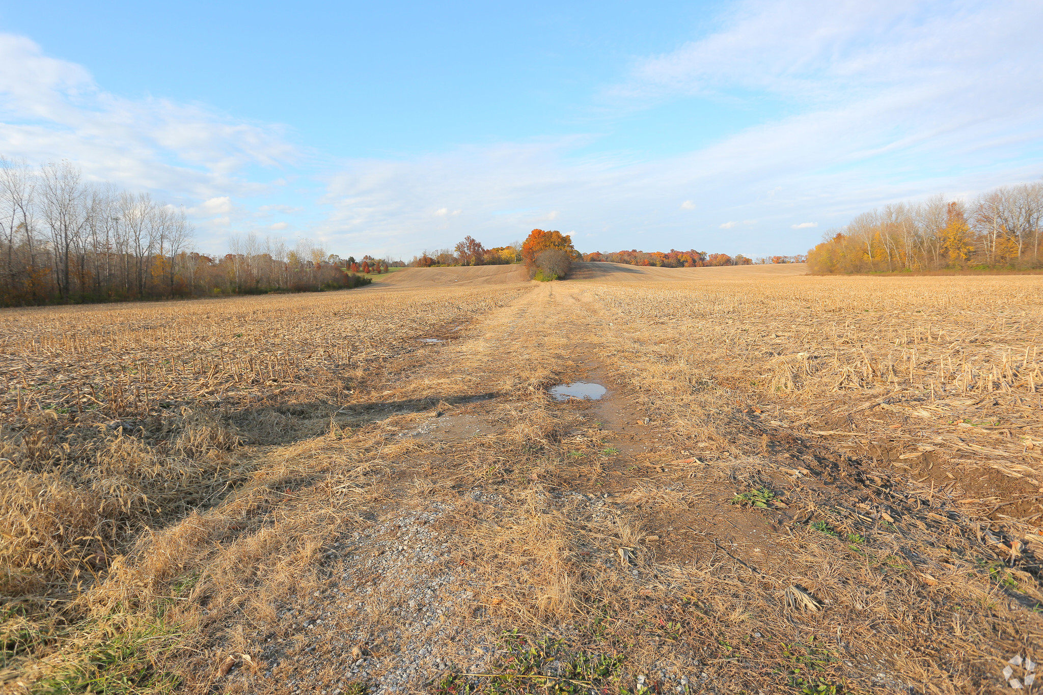 4351 Culp Ln, Bethalto, IL for sale Primary Photo- Image 1 of 1