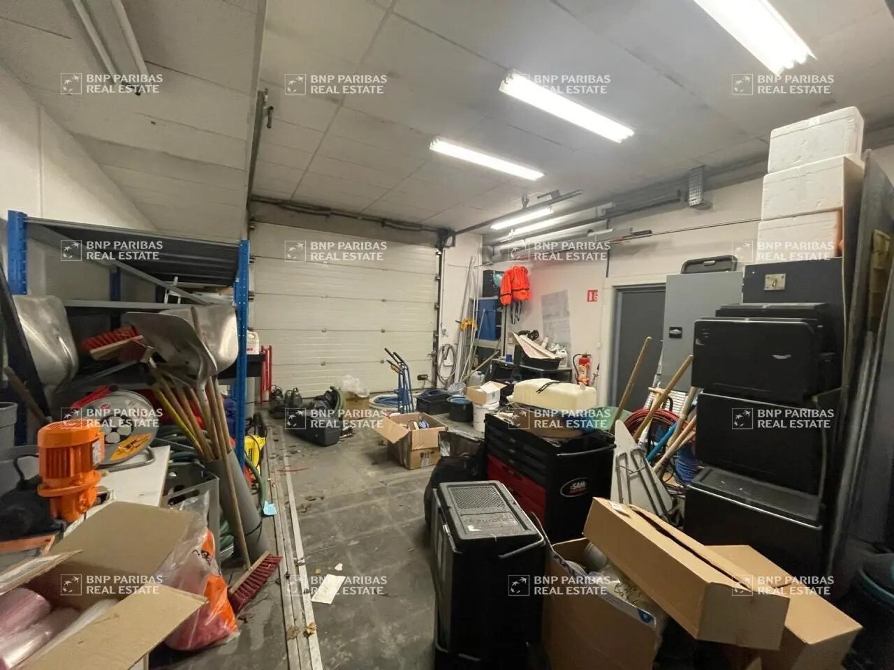 Flex in Fretin for lease Interior Photo- Image 1 of 14