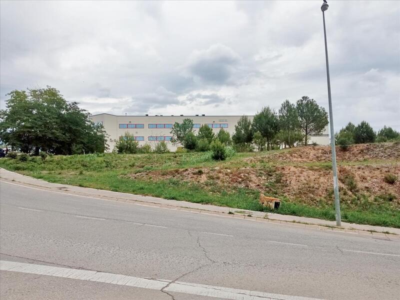 Plaça la Llana, 1, Rubí, Barcelona à vendre Plan d’étage- Image 1 de 4