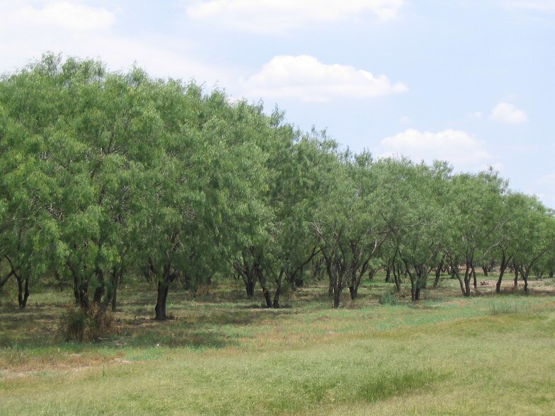 1008 N Mayberry Blvd, Alton, TX à vendre - Photo du bâtiment - Image 1 de 4