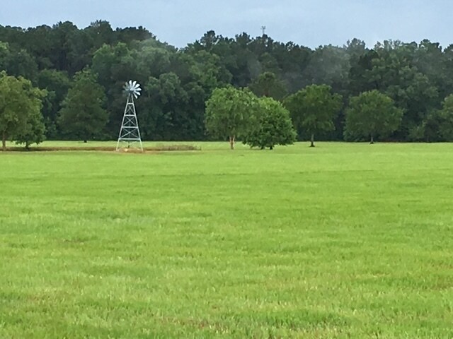 Highway 10 & FM 1136, Orange, TX for sale - Other - Image 2 of 11