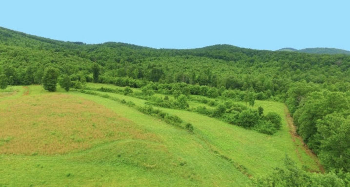 3865 Muddy Fork Rd, Bassett, VA for sale Primary Photo- Image 1 of 1