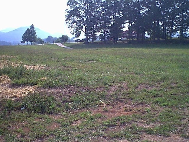 7911 E Lamar Alexander Pky, Townsend, TN for sale - Other - Image 3 of 3