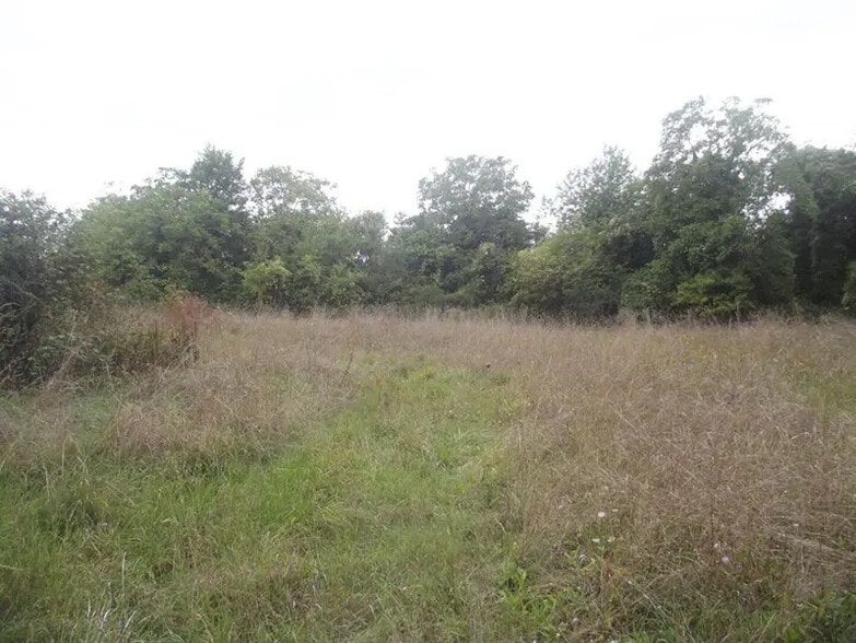 Land in Chavanges for sale - Building Photo - Image 2 of 2