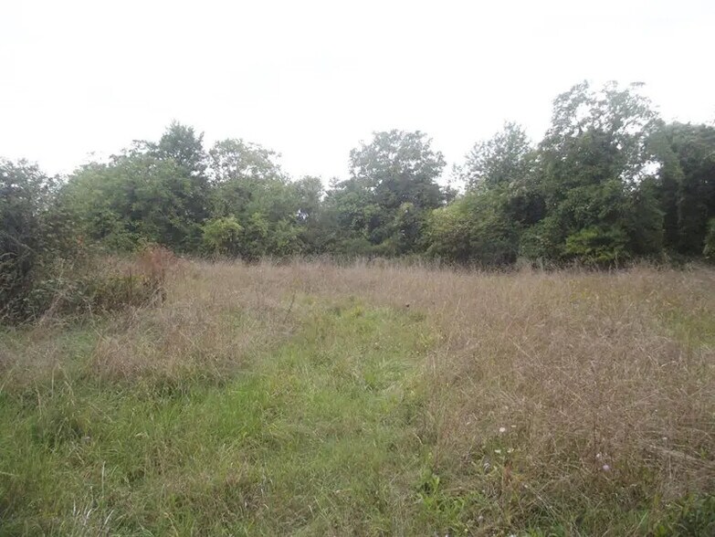 Terrain dans Chavanges à vendre - Photo du bâtiment - Image 2 de 2