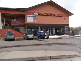 More details for 761 Anemone Trl, Dillon, CO - Retail for Lease