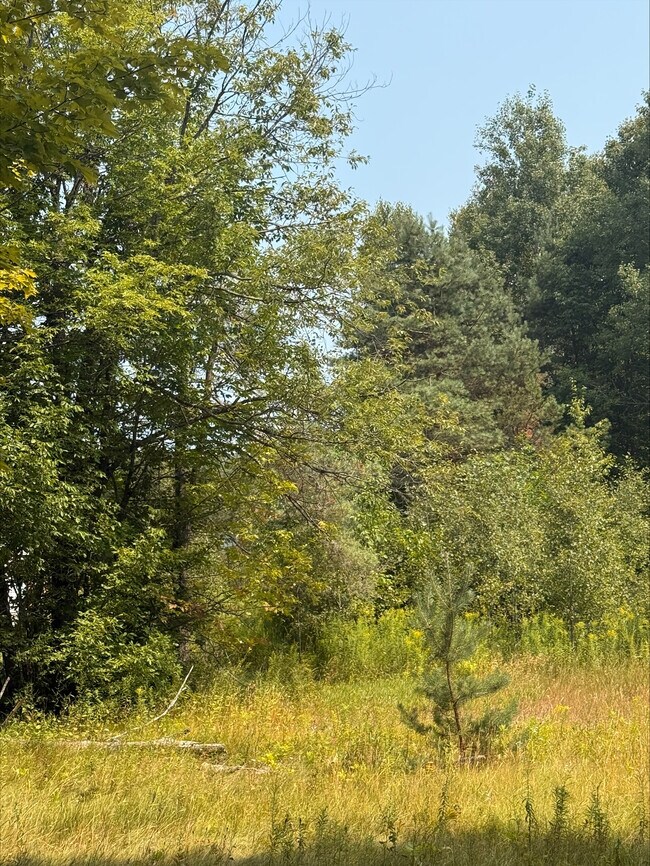 Plus de détails pour 3995 Boulter Rd, Boulter, ON - Terrain à vendre