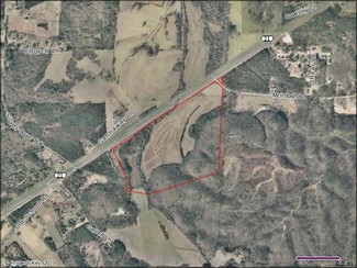 Plus de détails pour 50 McIntosh Rd, Oxford, AL - Terrain à vendre