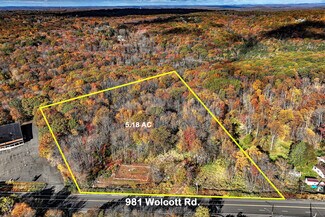 Plus de détails pour 981 Wolcott rd, Wolcott, CT - Terrain à vendre