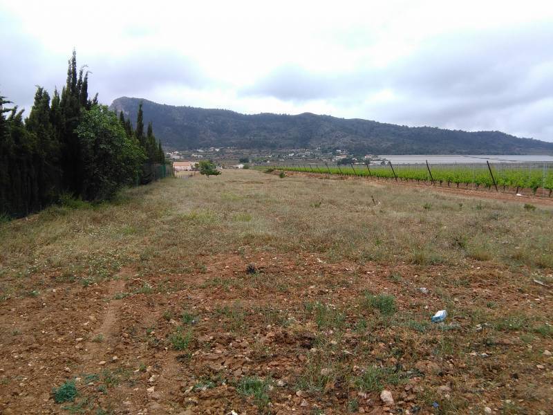 Land in Aspe, Alicante for sale Site Plan- Image 1 of 3