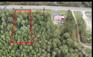 Plus de détails pour 12260 E Highway 40, Silver Springs, FL - Terrain à vendre