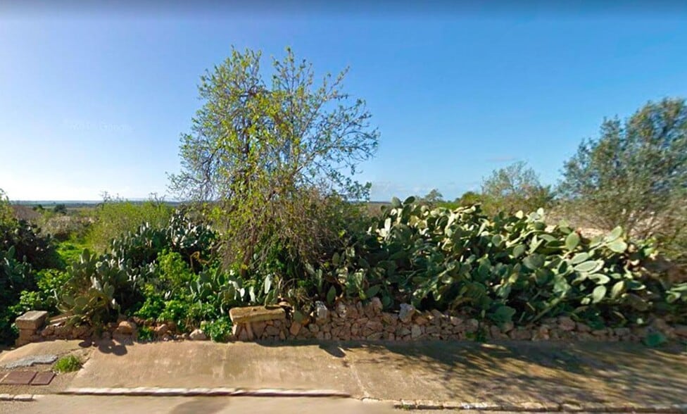 Land in Ses Salines, Islas Baleares for sale - Building Photo - Image 1 of 1