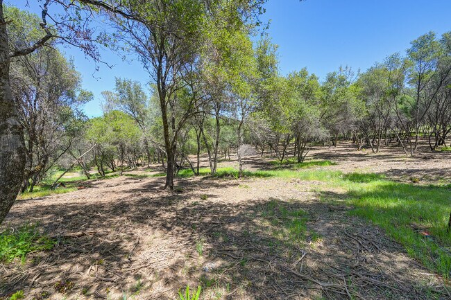 More details for 10650 Werner Rd, Auburn, CA - Land for Sale