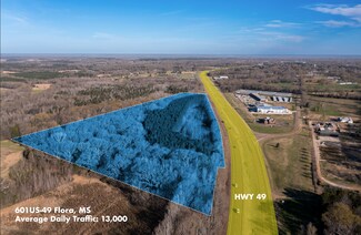 Plus de détails pour 601 US 49 Hwy, Flora, MS - Terrain à vendre