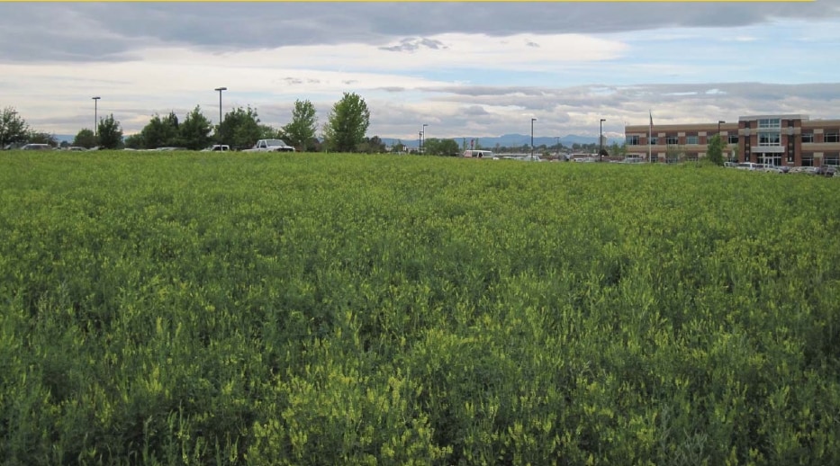 6338-6378 S Revere Parkway portfolio of 2 properties for sale on LoopNet.ca Primary Photo- Image 1 of 3