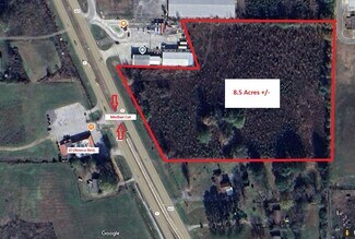Plus de détails pour 6867 U.S. 431, Owens Cross Roads, AL - Terrain à vendre