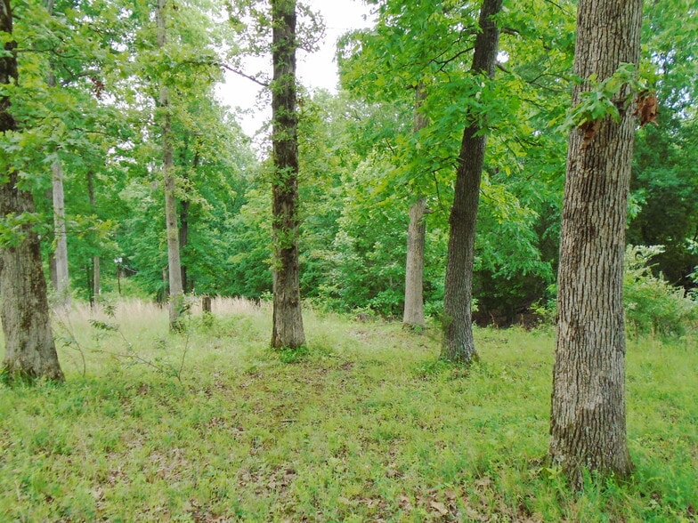 000 Lighthouse Cay, Grand Rivers, KY for sale - Building Photo - Image 3 of 4