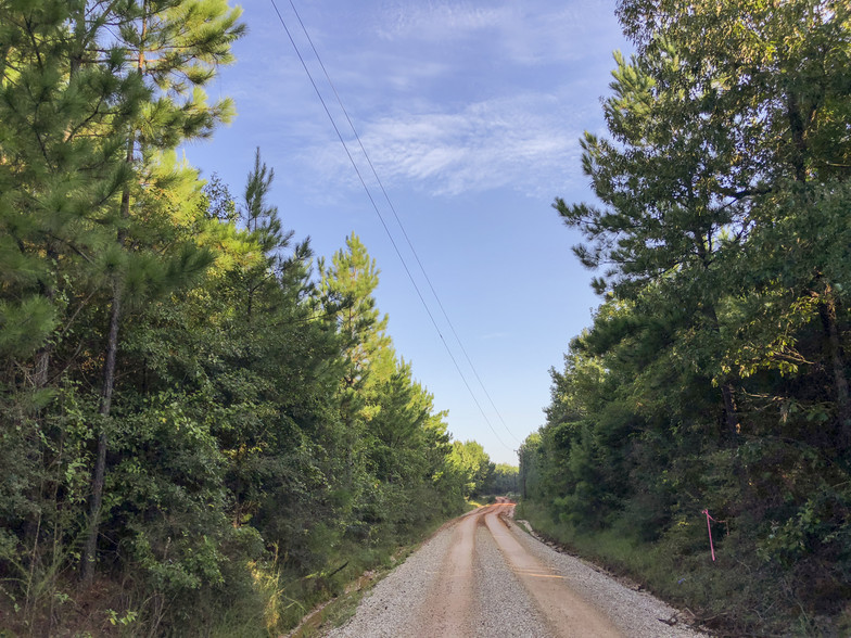 County Line Rd, Livingston, TX à vendre - Photo principale - Image 1 de 1