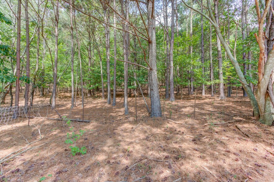 Shady Grove at Heard Rd, Cumming, GA à vendre - Autre - Image 2 de 20