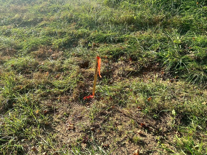 00 NE Hwy 411, Rydal, GA for sale - Other - Image 2 of 24