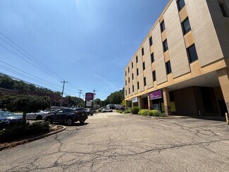 Plus de détails pour 305 Mt Lebanon Blvd, Pittsburgh, PA - Bureau à louer