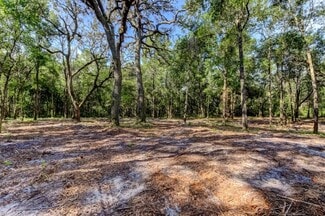 More details for 14004 Peace Blvd, Spring Hill, FL - Land for Sale