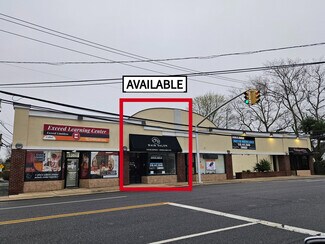 Plus de détails pour 1356 Willis Ave, Albertson, NY - Commerce de détail à louer