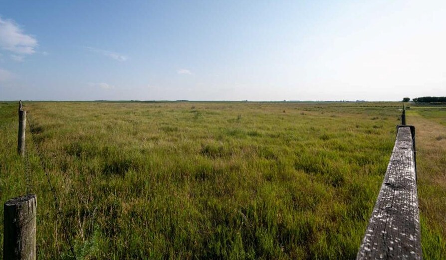 Trans Canada Highway #1 Range 255 Rd, Lyalta, AB for sale - Other - Image 2 of 16