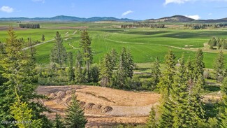 Plus de détails pour 137 Brown Bear Lane, Plummer, ID - Terrain à vendre