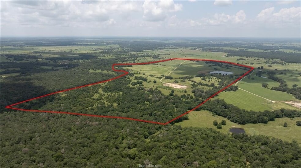 TBD FM 974, Bryan, TX à vendre - Photo du bâtiment - Image 3 de 25