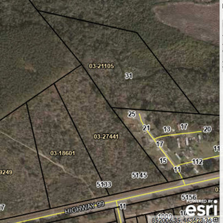 More details for 5133 & 5145 Highway 99, Brunswick, GA - Land for Lease